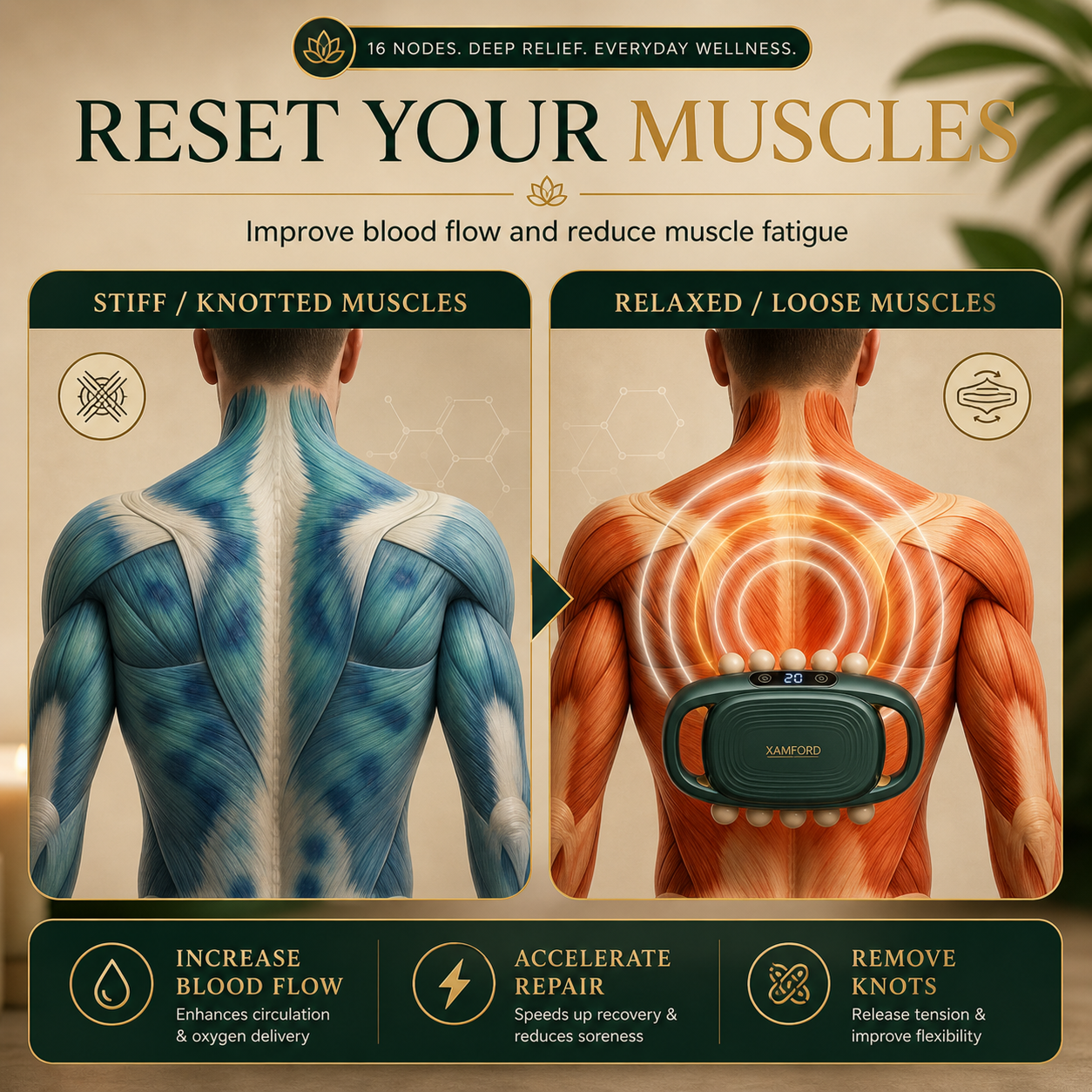 16 Nodes Massager